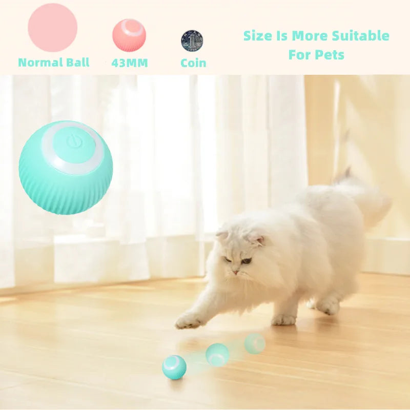 Electric Cat Cheerble Ball Toys