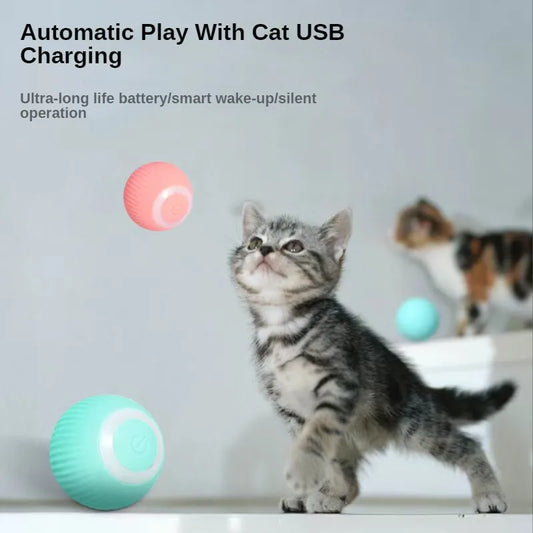 Electric Cat Cheerble Ball Toys
